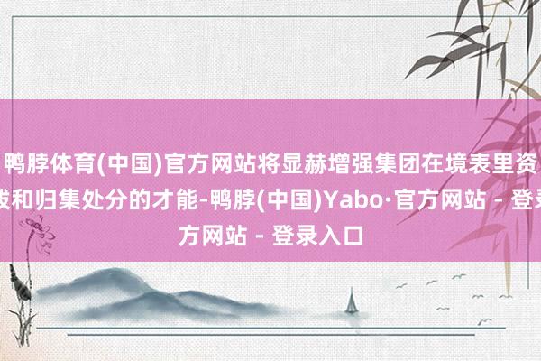 鸭脖体育(中国)官方网站将显赫增强集团在境表里资金调拨和归集处分的才能-鸭脖(中国)Yabo·官方网站 - 登录入口