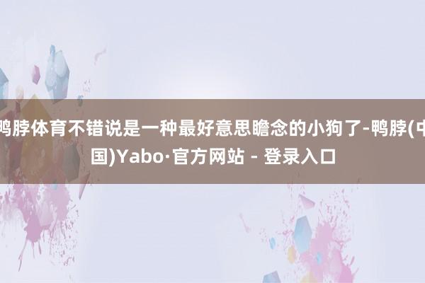 鸭脖体育不错说是一种最好意思瞻念的小狗了-鸭脖(中国)Yabo·官方网站 - 登录入口