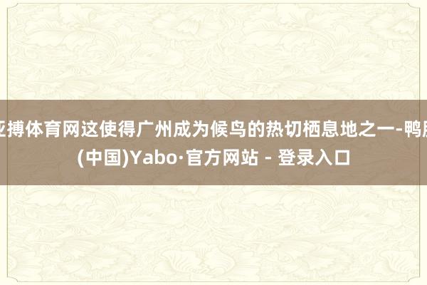 亚搏体育网这使得广州成为候鸟的热切栖息地之一-鸭脖(中国)Yabo·官方网站 - 登录入口